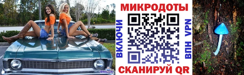 Псилоцибиновые грибы Psilocybe  kraken сайт  Березники 